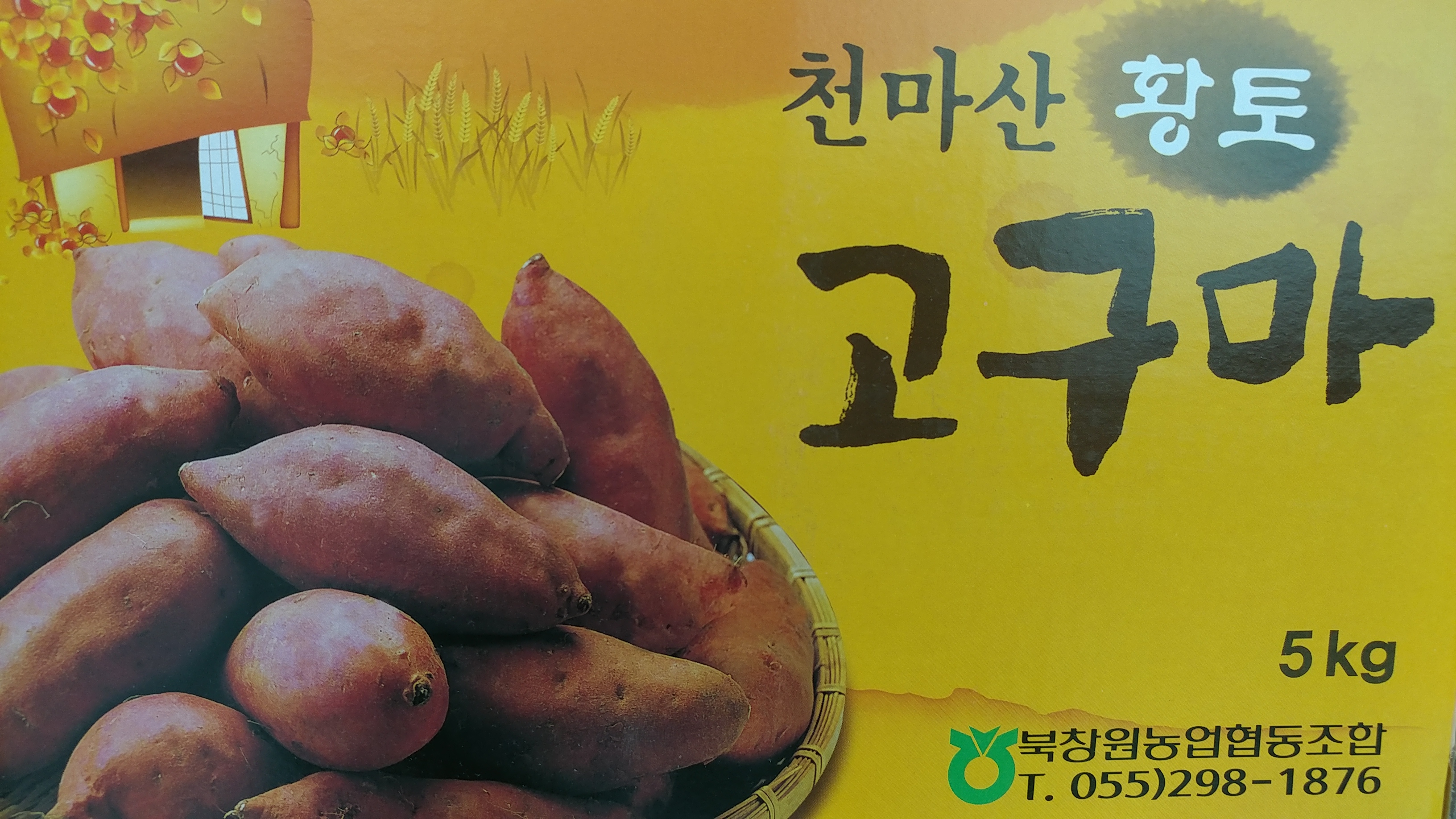 북창원농협 고구마
